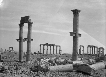 Palmyre/Tadmor, grande colonnade, colonnes de la colonnade transversale au premier plan et de la Grande Colonnade en arrière-plan