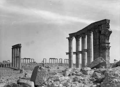 Palmyre/Tadmor, colonnes de la colonnade transversale au premier plan et de la Grande Colonnade en arrière-plan