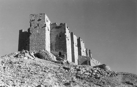 Palmyre/Tadmor, château de Palmyre ou Qalaat Ibn Maan