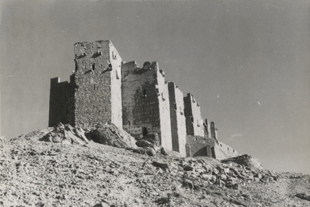 Palmyre/Tadmor, citadelle de Palmyre