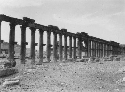 Palmyre/Tadmor, Grande Colonnade