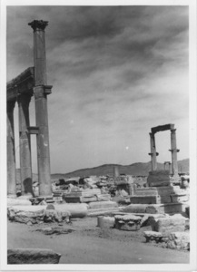 Palmyre/Tadmor, Grande colonnade