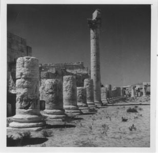 Palmyre/Tadmor, cour du temple de Bêl