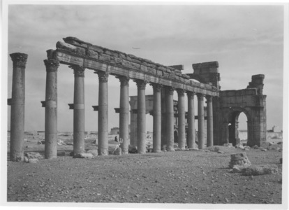 Palmyre/Tadmor, Grande Colonnade et arc monumental