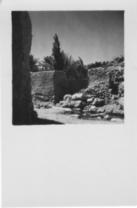 Palmyre/Tadmor, maison de fouille