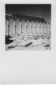 Palmyre/Tadmor, Grande colonnade