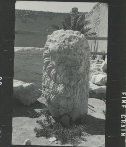 Palmyre/Tadmor. Statue de lion