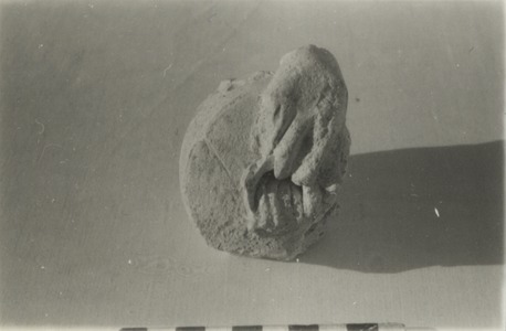 Palmyre/Tadmor, sanctuaire de Baalshamîn. Fragment d'applique avec une main droite masculine qui tient un récipient