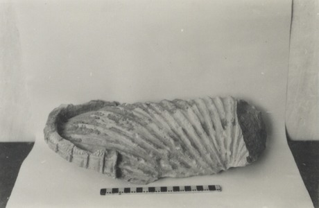 Palmyre/Tadmor, Fragment de statue, épaule gauche