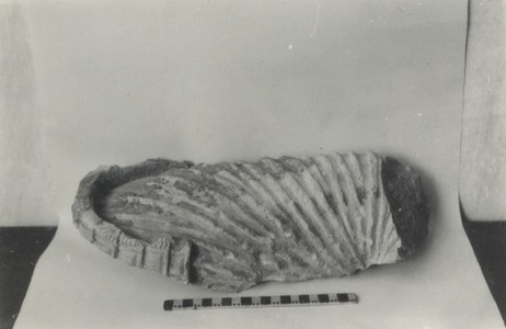 Palmyre/Tadmor, Fragment de statue, épaule gauche