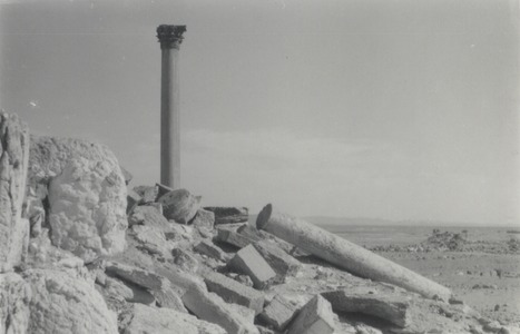 Palmyre/Tadmor, Camp de Dioclétien. Colonnes et blocs
