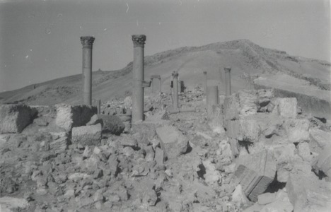 Palmyre/Tadmor, Camp de Dioclétien. Vue d'ensemble