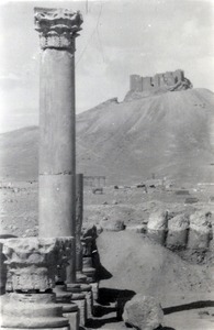 Palmyre/Tadmor, citadelle de Palmyre (château de Qalat ibn Maan). Colonnes et chapiteaux de colonnes
