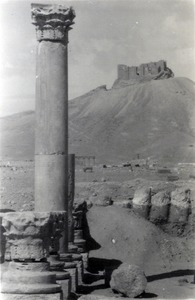 Palmyre/Tadmor, citadelle de Palmyre (château de Qalat ibn Maan). Colonnes et tambours de colonnes
