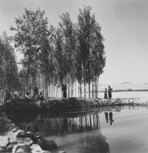 Palmyre/Tadmor, photographie d'ambiance, personnes au bord du lac