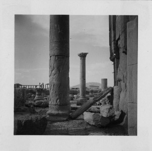 Palmyre/Tadmor, sanctuaire de Baalshamîn, cour sud vue depuis le temple, vue sud-ouest