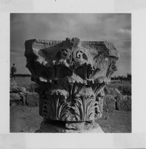 Palmyre/Tadmor, sanctuaire de Baalshamîn, chapiteau corinthien d'une colonne de la cour sud