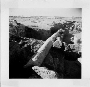 Palmyre/Tadmor, sanctuaire de Baalshamîn, colonne tombée dans le portique C1 ?