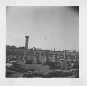 Palmyre/Tadmor, sanctuaire de Baalshamîn, cour sud, vue nord