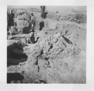 Palmyre/Tadmor, sanctuaire de Baalshamîn, couverture de tombe à l'arrière du temple