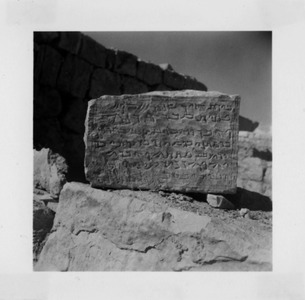 Palmyre/Tadmor, sanctuaire de Baalshamîn, bloc inscrit