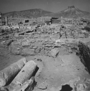 Palmyre/Tadmor, sanctuaire de Baalshamîn, bâtiments nord